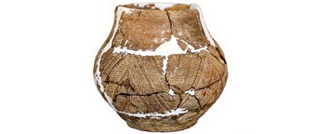 四川安宁河流域发现川西南最早新石器时代遗存