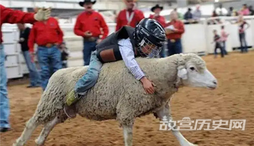 澳大利亚被称为骑在羊背上的国家的原因